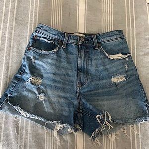 Abercrombie & Fitch Curve Love Shorts